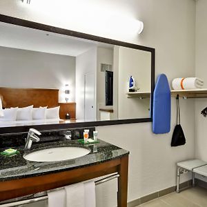 King Room Roll Shower Disability Access